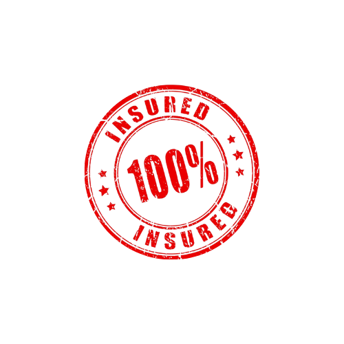 Insured soft wash and pressure washing services in Charleston, SC and the Lowcountry